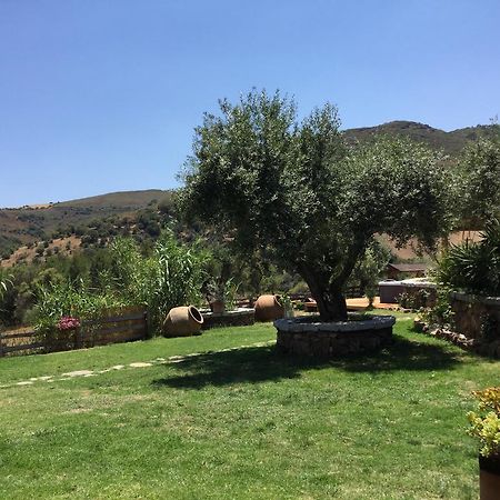 Il Giardino Di Daniela Bed & Breakfast San Teodoro  Dış mekan fotoğraf
