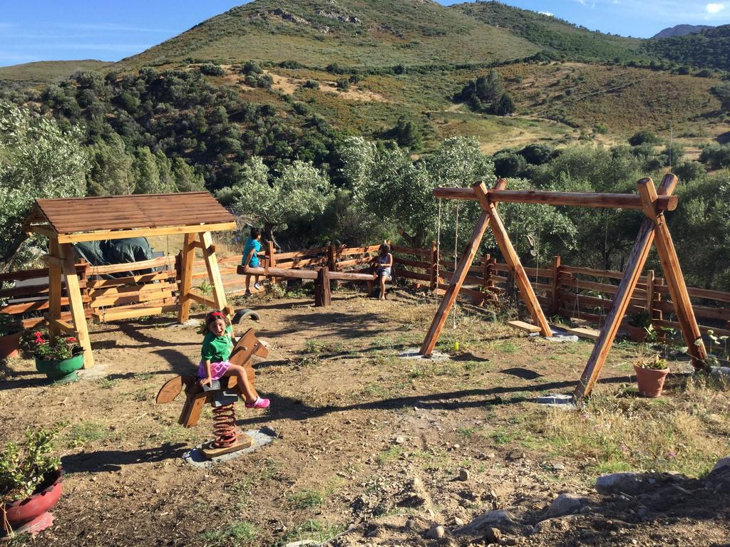 Il Giardino Di Daniela Bed & Breakfast San Teodoro  Dış mekan fotoğraf