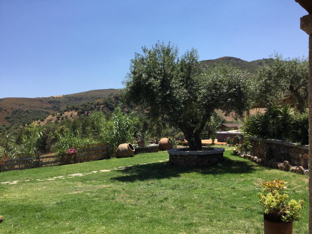 Il Giardino Di Daniela Bed & Breakfast San Teodoro  Dış mekan fotoğraf